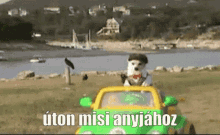 Misi Misike GIF - Misi Misike Pacal GIFs