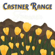 castner range