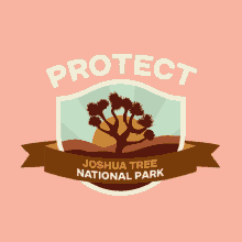 Protect More Parks Camping GIF - Protect More Parks Camping West Coast GIFs