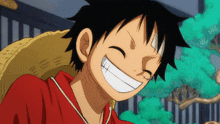One Piece Luffy GIF - One Piece Luffy Wano GIFs