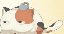 a calico cat with a triangle on its ear is laying down