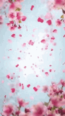 Spring Flowers GIF - Spring Flowers Petals GIFs