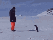 Go Away GIF - Go Away Penguin GIFs