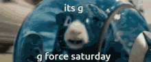 Gforce Saturday GIF