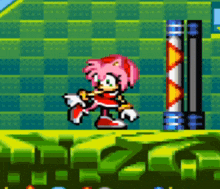 Sonic Sonic The Hedgehog GIF - Sonic Sonic The Hedgehog Amy GIFs