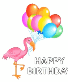 Flamingo Birthday GIF - Flamingo Birthday Balloons GIFs
