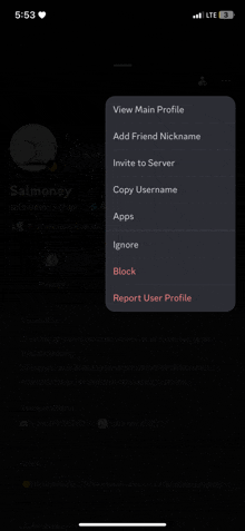a screenshot of a phone screen showing a menu of options including view main profile add friend nickname invite to server and copy username