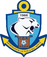 a blue and yellow emblem with the year 1966