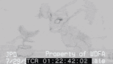 a screenshot of a video that says jpd 7/29 tcr 01 22 44 17 date