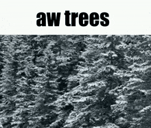 Aw Trees GIF - Aw Trees GIFs