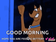 Good Morning Scooby Doo GIF