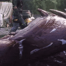 a man is standing next to a large purple object that looks like a shark