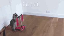 Racoon Im Out GIF - Racoon Im Out Scooter GIFs