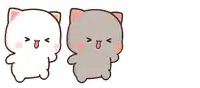 a white cat and a gray cat are standing next to each other on a white background