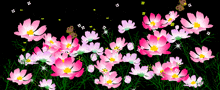 Cartoon Flowers GIF - Cartoon Flowers GIFs