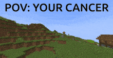 a screenshot of a video game with the words " pov : your cancer " at the top