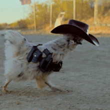 a chicken wearing a cowboy hat and carrying guns