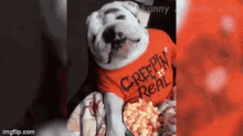 Keepin It Real Starving GIF - Keepin It Real Starving Funny Dog GIFs
