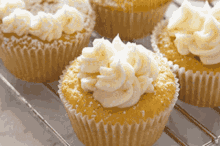 Cupcake GIF - Cupcake GIFs
