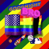 a rainbow flag with the words " good night bro " on it