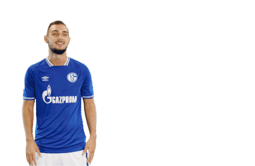 Schalke04 S04 Sticker - Schalke04 S04 Schalke Stickers