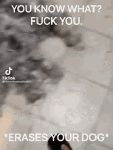 a dog is standing on a tile floor with a caption that says `` you know what ? fuck you . ''