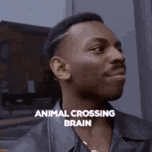 Animal Crossing Street Smarts GIF - Animal Crossing Street Smarts Interior Designer GIFs