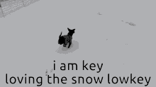 Key Snow Key GIF - Key Snow Key Ishh GIFs