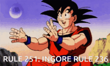 Rules Rule251 GIF - Rules Rule251 Dbz GIFs
