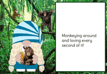 Gnome Monkey GIF - Gnome Monkey GIFs