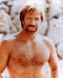 Chuck Norris Muscle GIF - Chuck Norris Muscle GIFs
