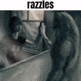 Razzles Radeesh1 GIF - Razzles Radeesh1 GIFs