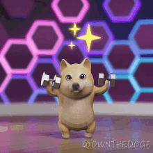 Lifting Weights The Doge Nft GIF - Lifting Weights The Doge Nft Working Out GIFs