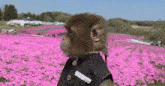 a monkey is standing in a field of pink flowers wearing a black jacket .