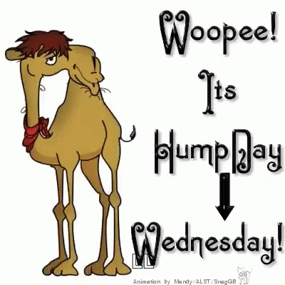 Wednesday Hump Day GIF Wednesday Hump Day Discover Share GIFs