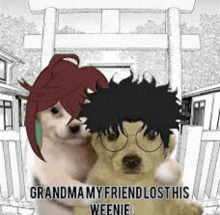a dog with glasses is hugging a dog with a wig on .