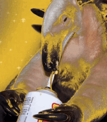Canned Cheese Anteater GIF - Canned Cheese Anteater Loves GIFs