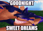 a picture of a shark with the words goodnight sweet dreams above it