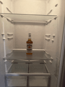 a bottle of jim beam bourbon sits on a glass shelf in an empty refrigerator