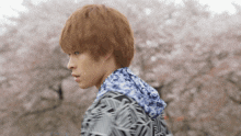 a young man wearing a blue and white hoodie stands in front of cherry blossoms