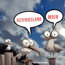 Friesland Ostfriesland GIF - Friesland Ostfriesland Funny GIFs