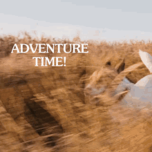 Running Adventure GIF - Running Adventure Adventure Time GIFs