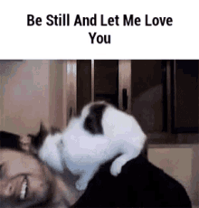 Cat Love GIF - Cat Love Me GIFs