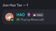 a picture of a person playing minecraft