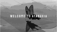 Anime Ataraxia GIF - Anime Ataraxia GIFs
