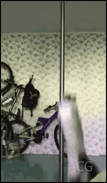 Pole Cat Slide GIF - Pole Cat Slide GIFs