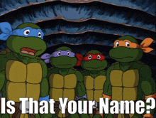 a group of teenage mutant ninja turtles standing next to each other with a caption that says is that your name