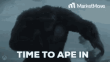 Ape Time GIF - Ape Time To GIFs