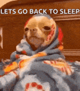 a dog wrapped in a blanket is laying on a bed with the words let 's go back to sleep above it .