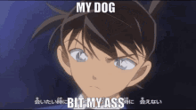 Kudo Shinichi Detective Conan GIF - Kudo Shinichi Detective Conan My Dog Bit My Ass GIFs